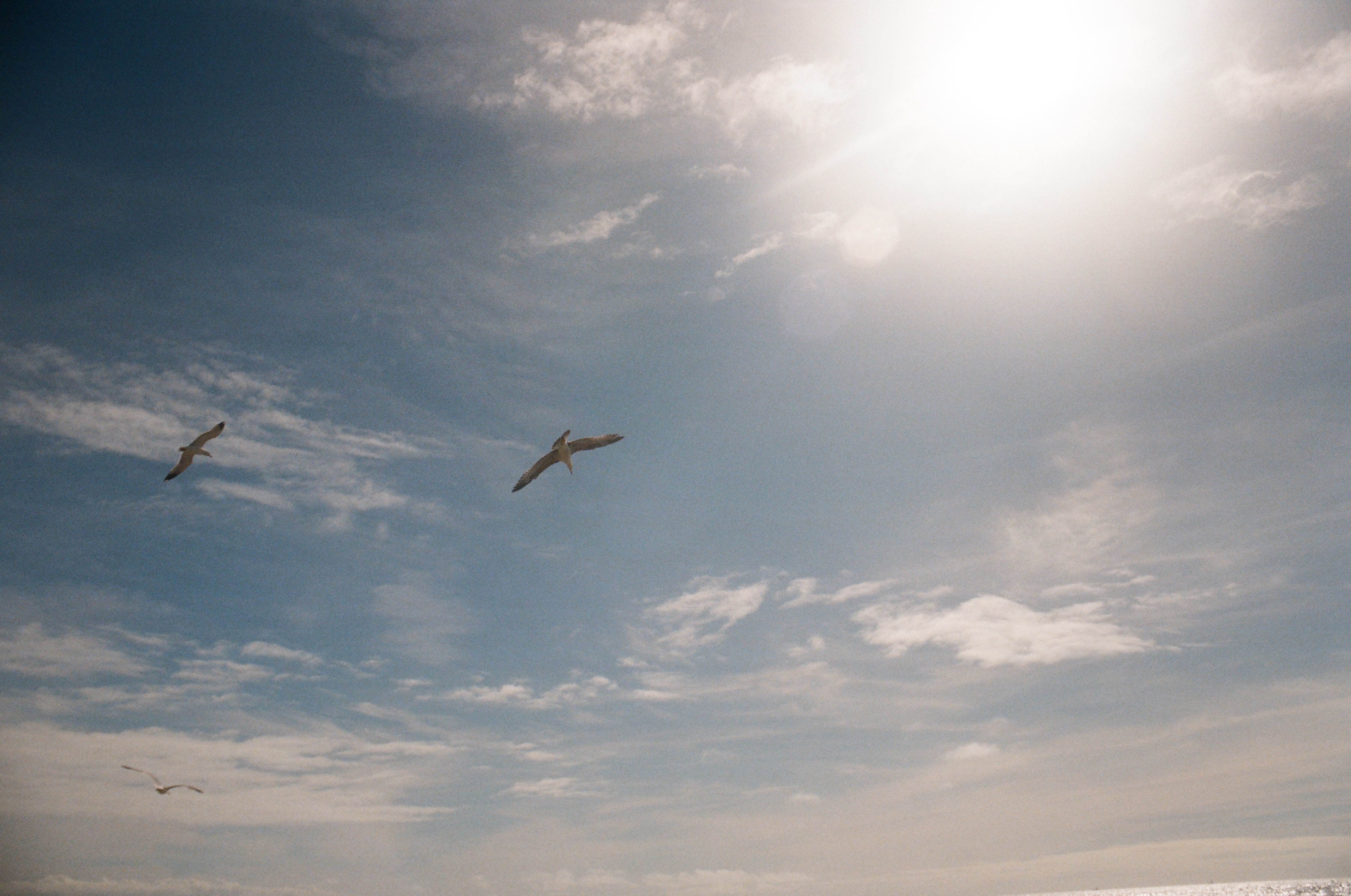 color-film - 27.JPG
